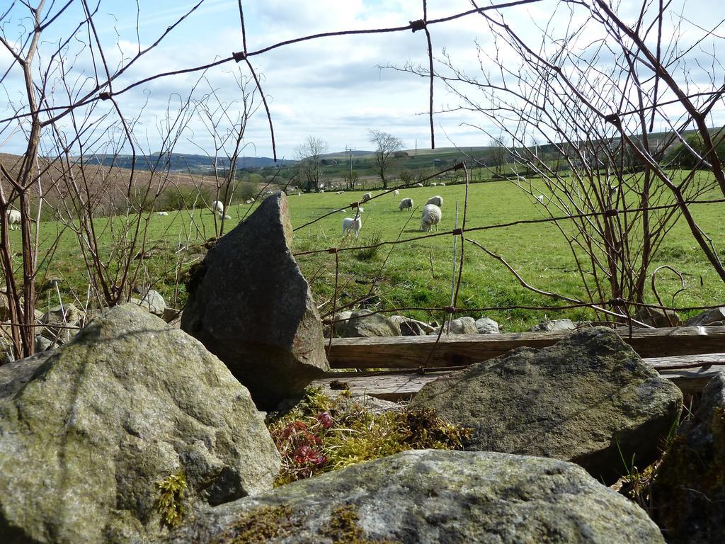Wales' Highest Village - The Chartist Cottage - Trefil Tredegar Extérieur photo